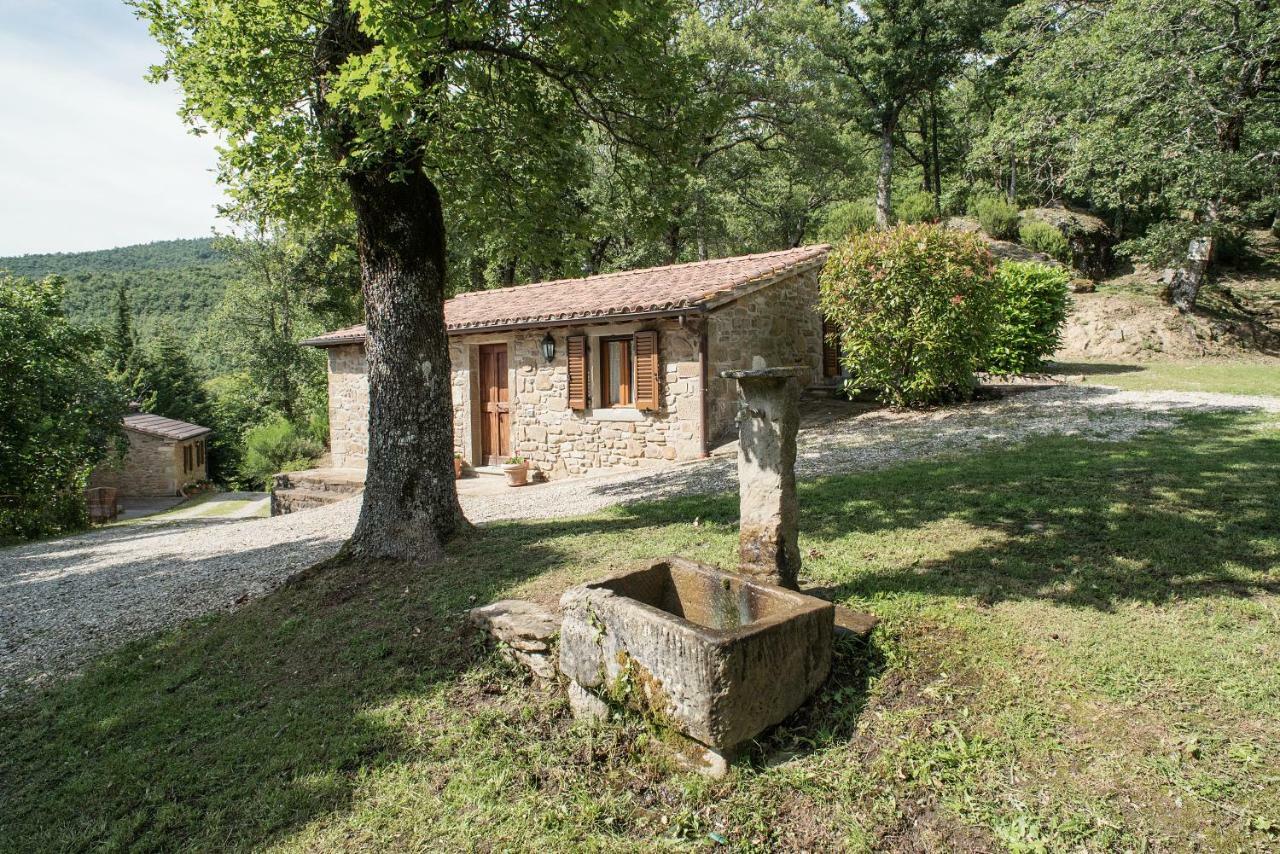 منزل الضيف Mercatale   في Casa Rancacci المظهر الخارجي الصورة